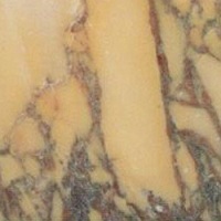 200__calacatta_siena