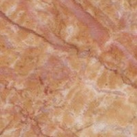 200_bafq_apricot