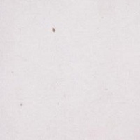 200_bianco_sivec