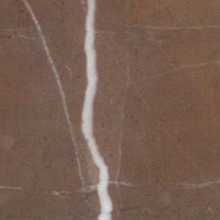 200_brown_collemandina
