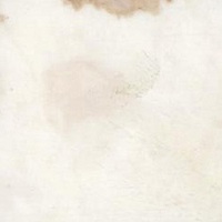 200_calacatta_sponda