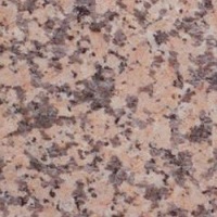 200_rosa_porrino